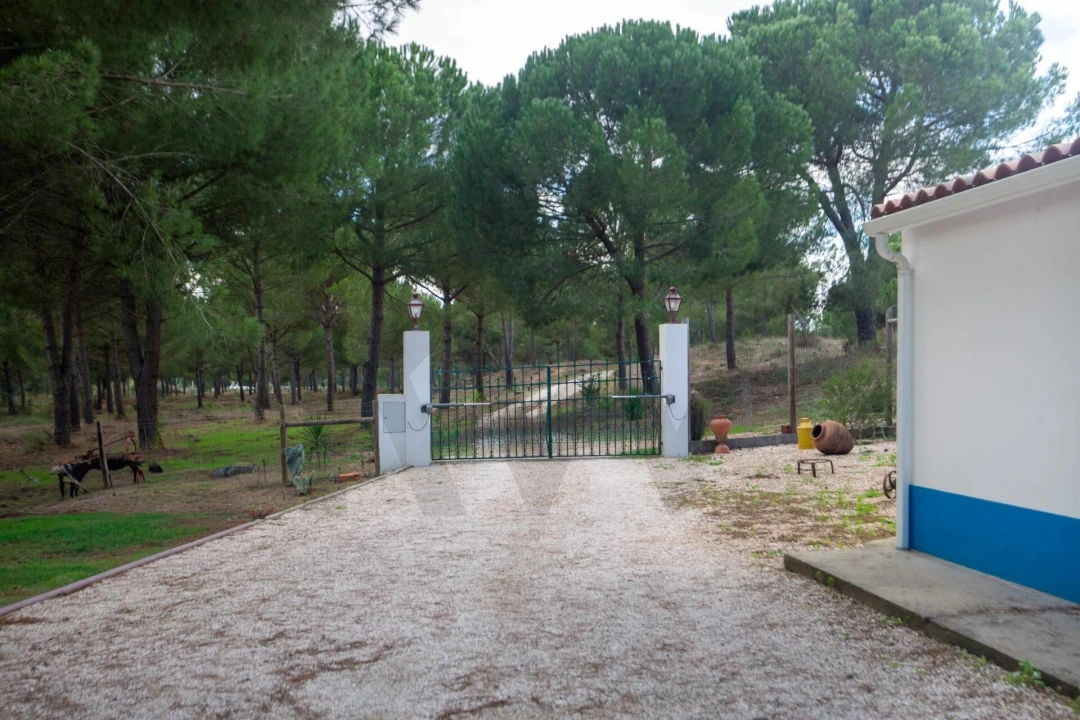 Quinta T5 para Venda em Couço Foto 74