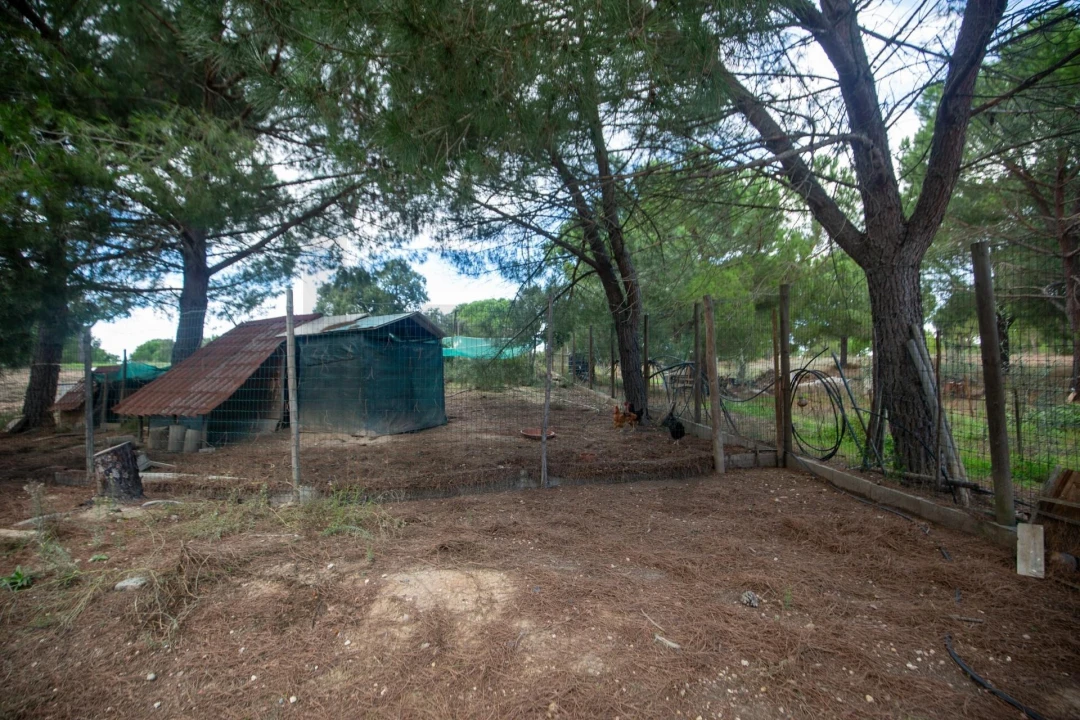 Quinta T5 para Venda em Couço Foto 36