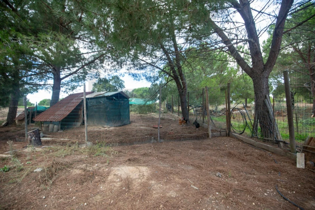 Quinta T5 para Venda em Couço Foto 2