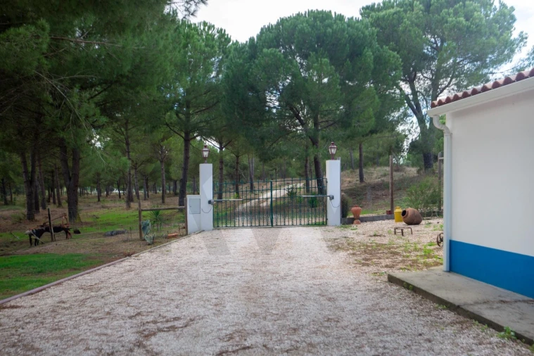 Quinta T5 para Venda em Couço Foto 74