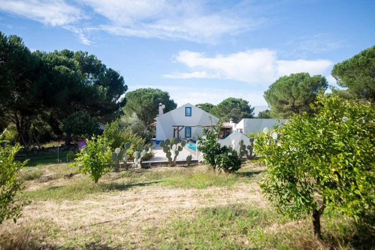 Quinta T5 para Venda em Couço Foto 47