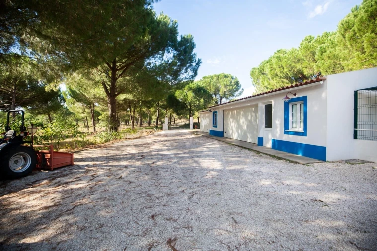 Quinta T5 para Venda em Couço Foto 71