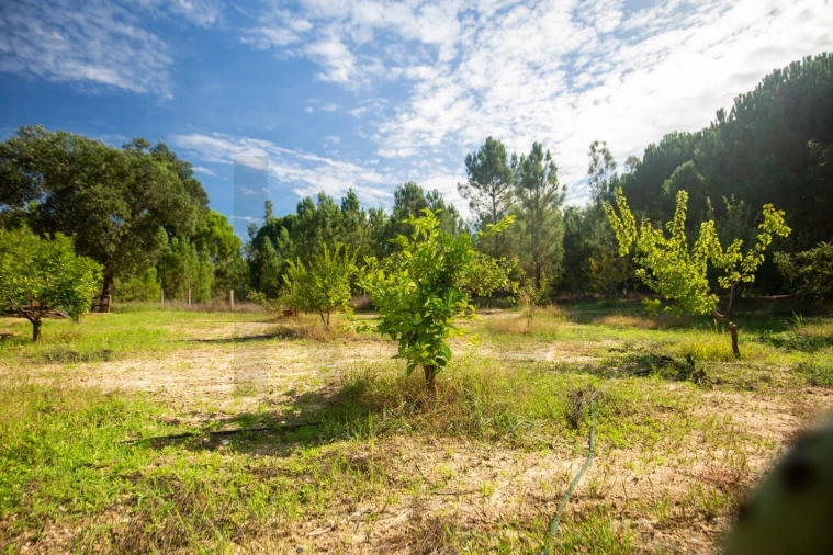 Quinta T5 para Venda em Couço Foto 58