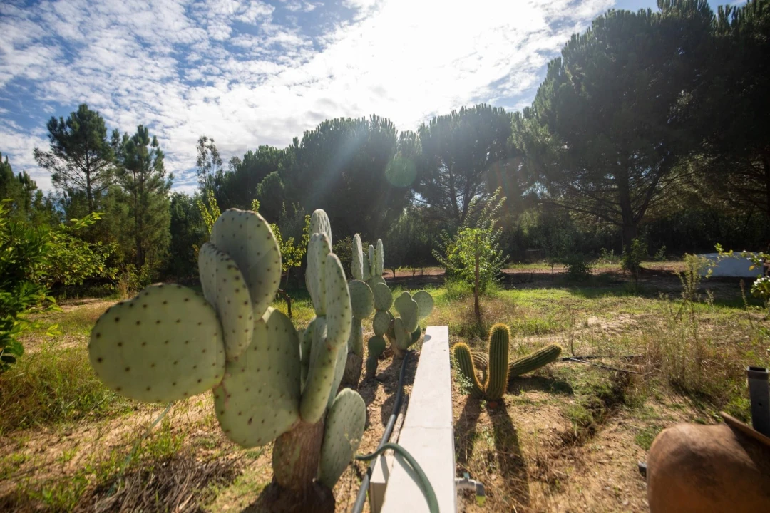 Quinta T5 para Venda em Couço Foto 57