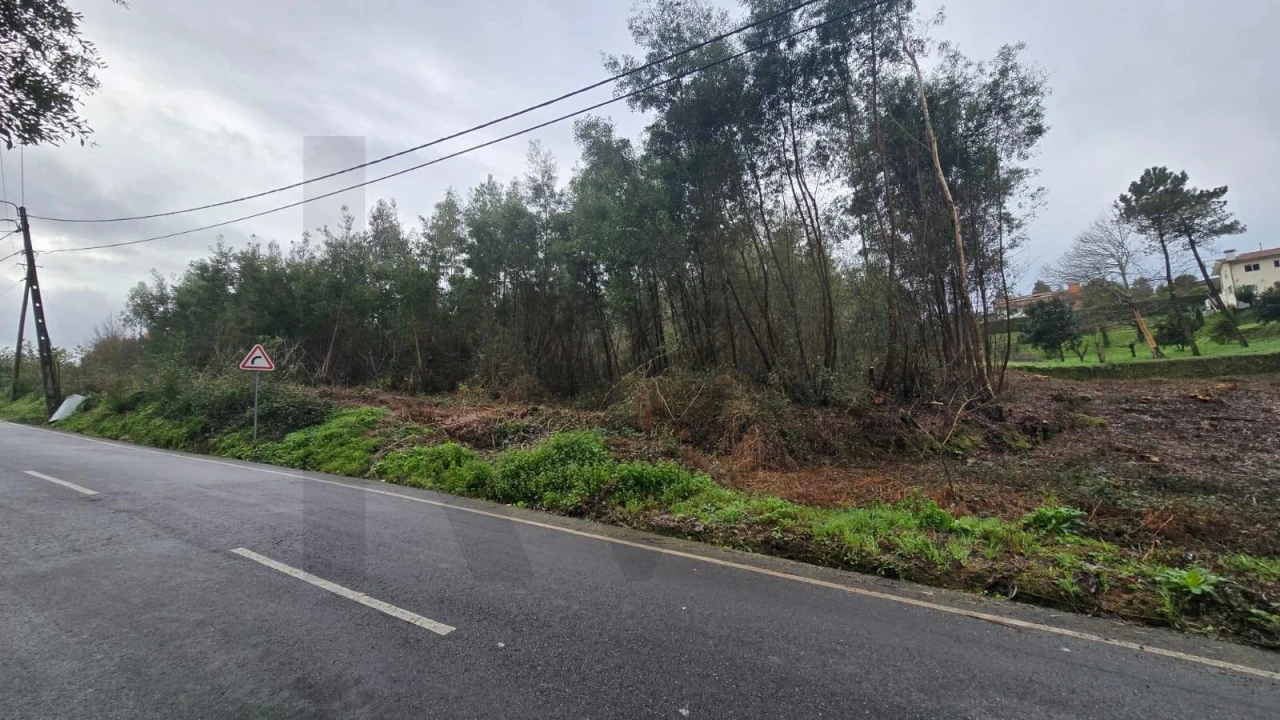 Terreno para Venda em Sanguedo Foto 7