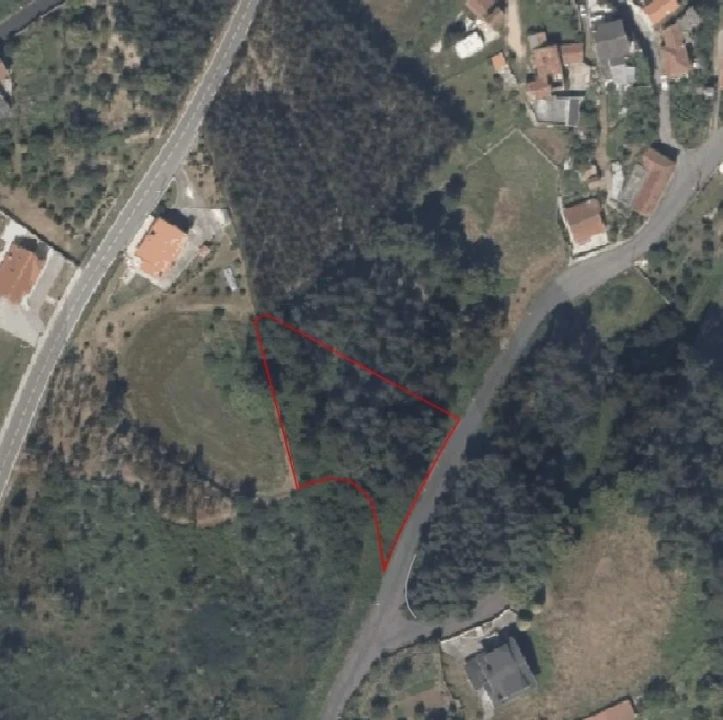 Terreno para Venda em Sanguedo Foto 4