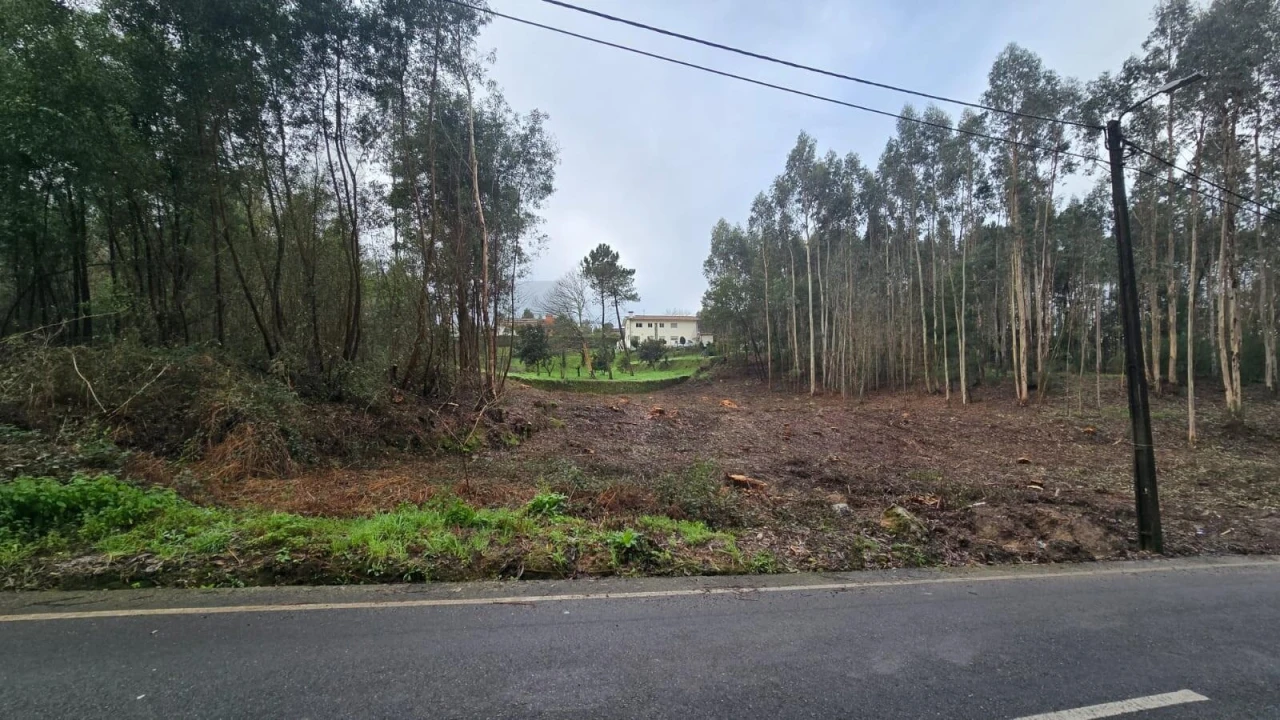 Terreno para Venda em Sanguedo Foto 9