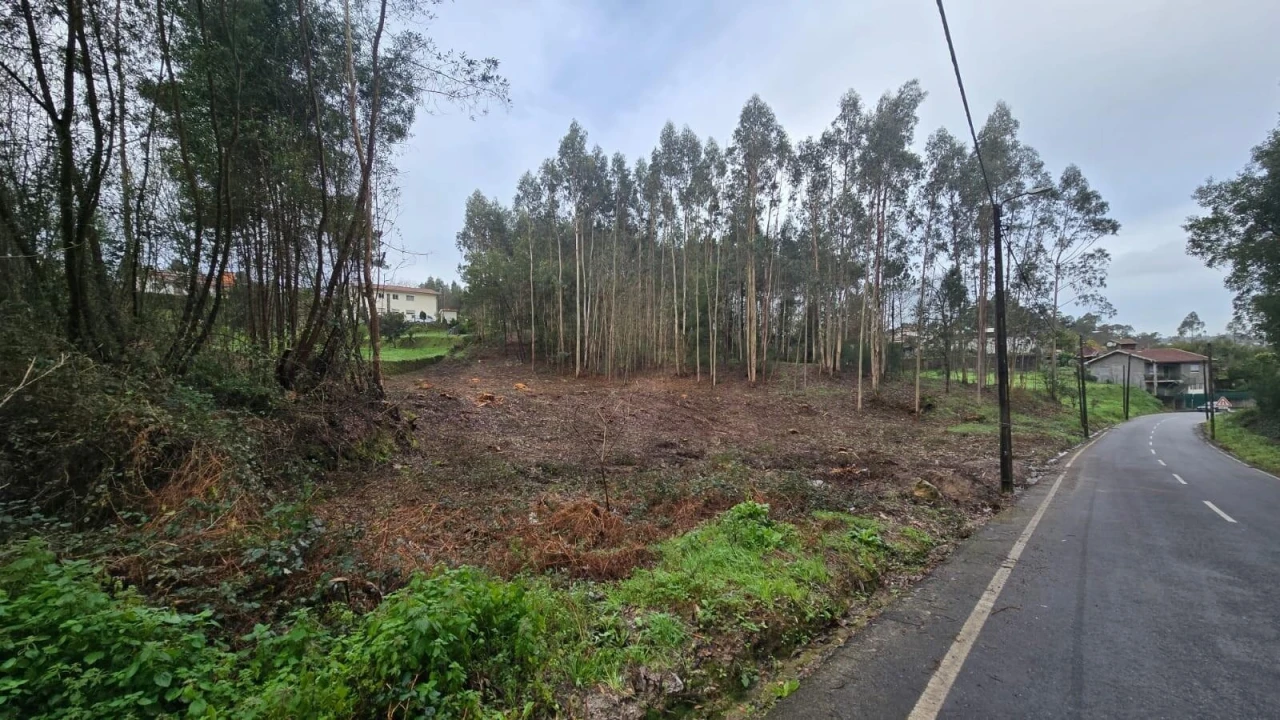 Terreno para Venda em Sanguedo Foto 8