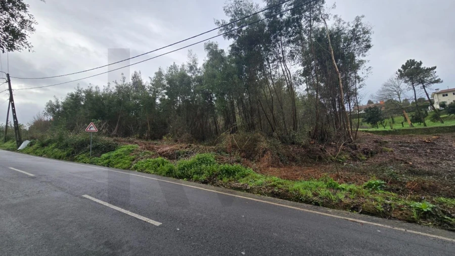 Terreno para Venda em Sanguedo Foto 7