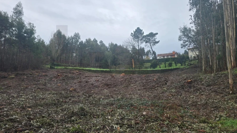 Terreno para Venda em Sanguedo Foto 6