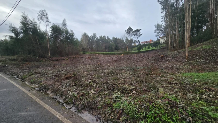 Terreno para Venda em Sanguedo Foto 5