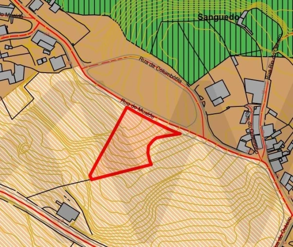 Terreno para Venda em Sanguedo