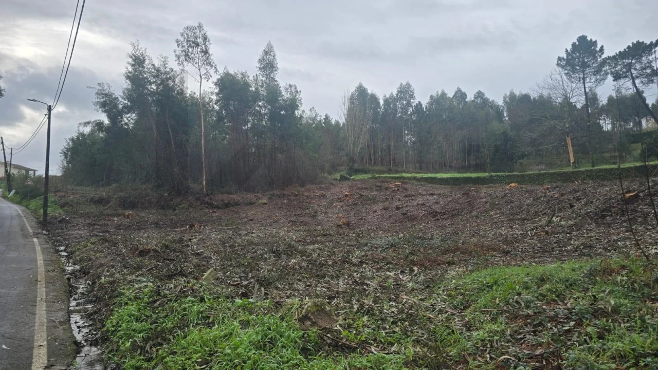Terreno para Venda em Sanguedo Foto 10