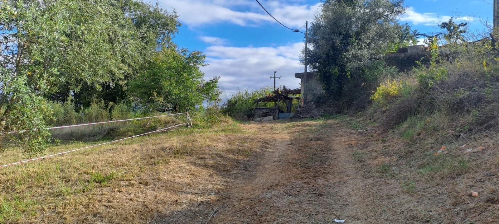 Terreno para Venda em Eiras e São Paulo de Frades Foto 11
