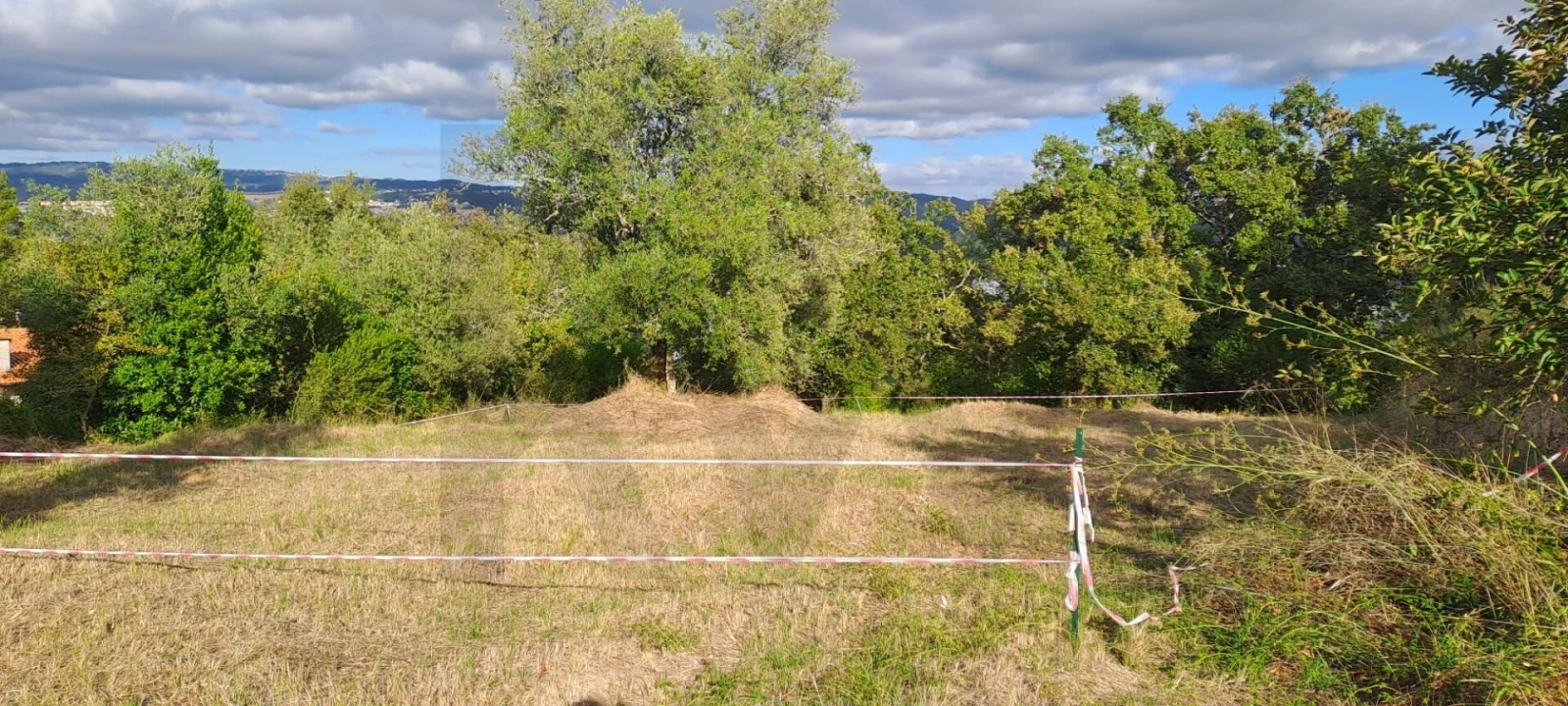 Terreno para Venda em Eiras e São Paulo de Frades Foto 14