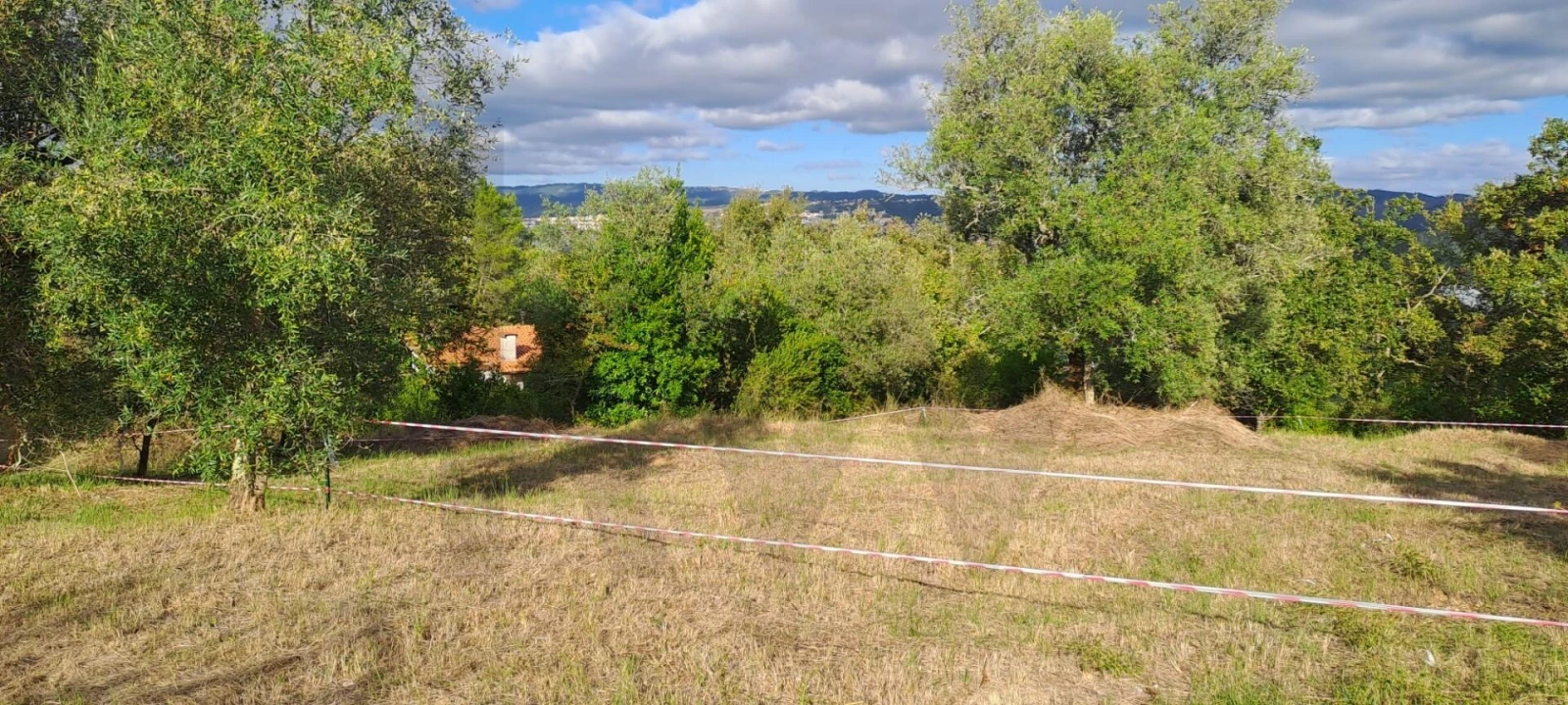 Terreno para Venda em Eiras e São Paulo de Frades Foto 15