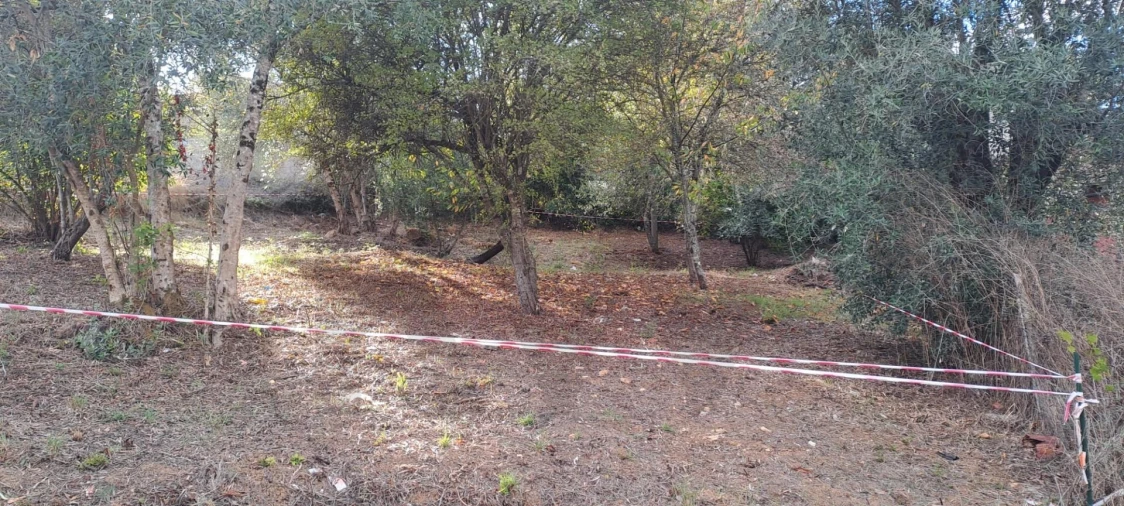 Terreno para Venda em Eiras e São Paulo de Frades Foto 8