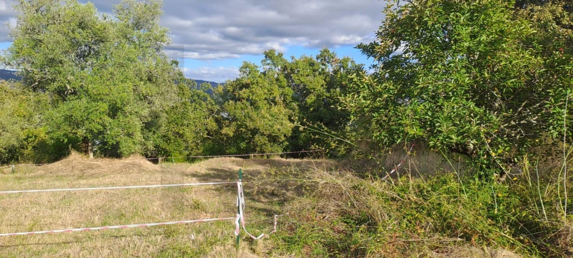 Terreno para Venda em Eiras e São Paulo de Frades Foto 13