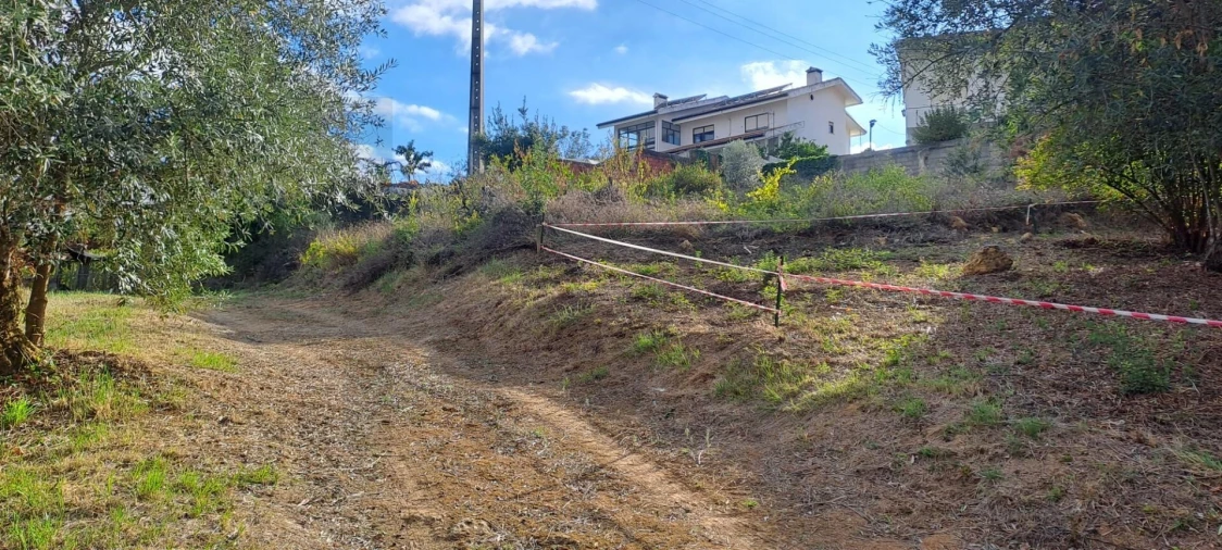 Terreno para Venda em Eiras e São Paulo de Frades Foto 10
