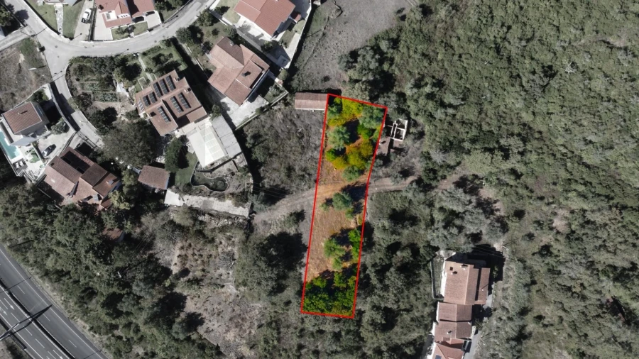 Terreno para Venda em Eiras e São Paulo de Frades Foto 5