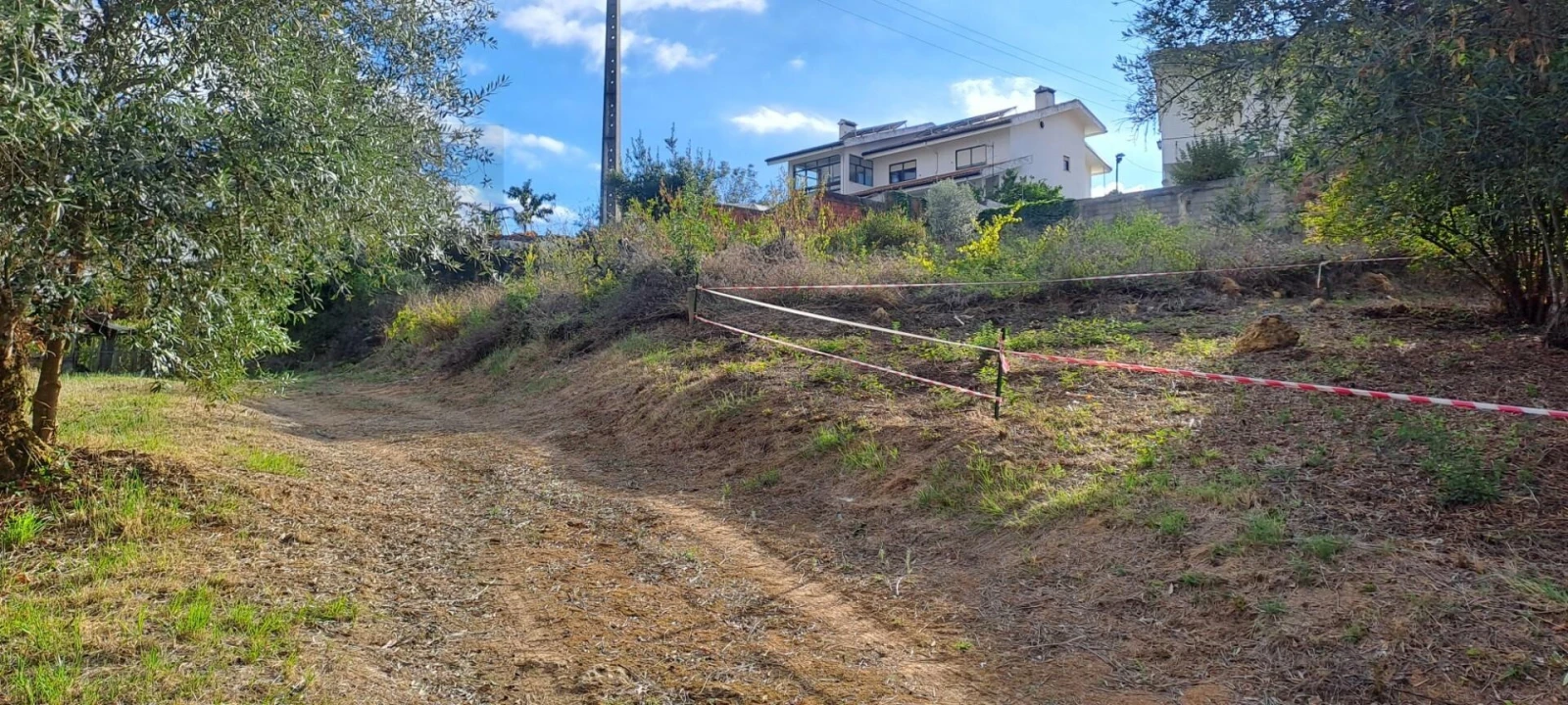 Terreno para Venda em Eiras e São Paulo de Frades Foto 10