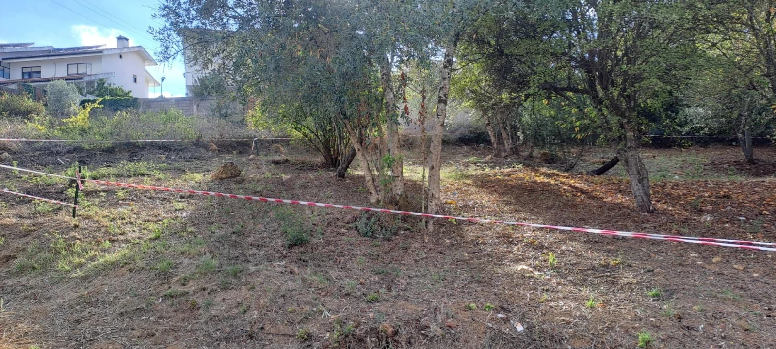 Terreno para Venda em Eiras e São Paulo de Frades Foto 9