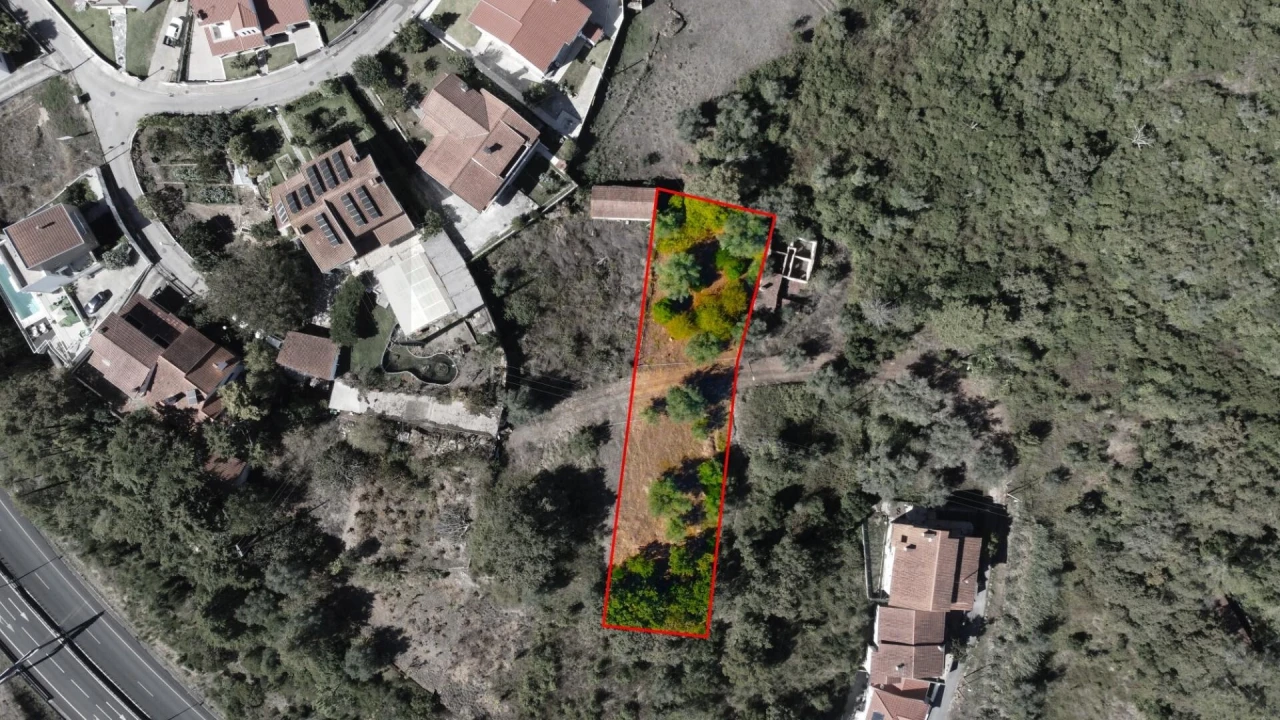 Terreno para Venda em Eiras e São Paulo de Frades Foto 5