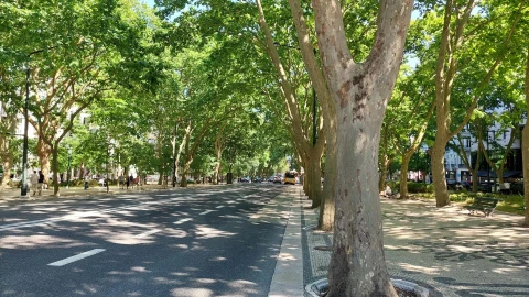 Apartamento T3 para Venda em Santo António