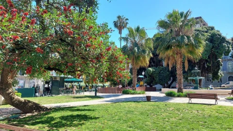 Apartamento T3 para Venda em Santo António