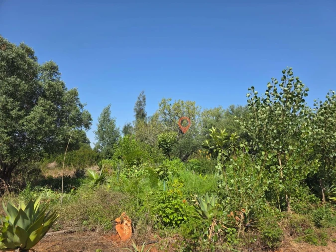 Terreno para Venda em Lagos (São Sebastião e Santa Maria) Foto 22