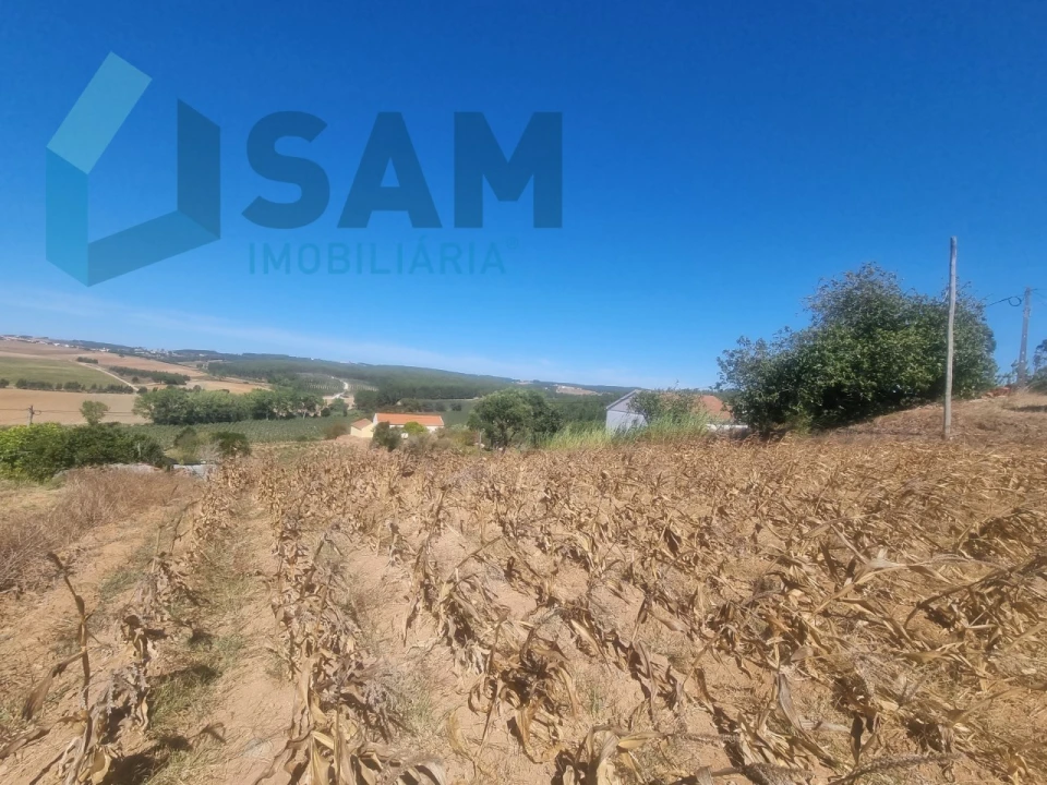 Terreno para Venda em Campelos e Outeiro da Cabeça Foto 7