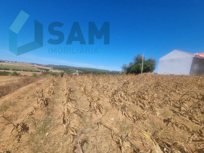 Terreno para Venda em Campelos e Outeiro da Cabeça Foto 3