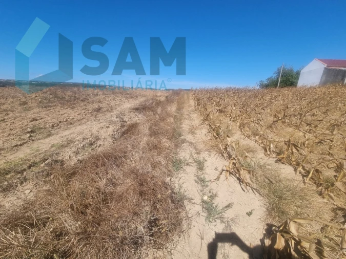 Terreno para Venda em Campelos e Outeiro da Cabeça Foto 4