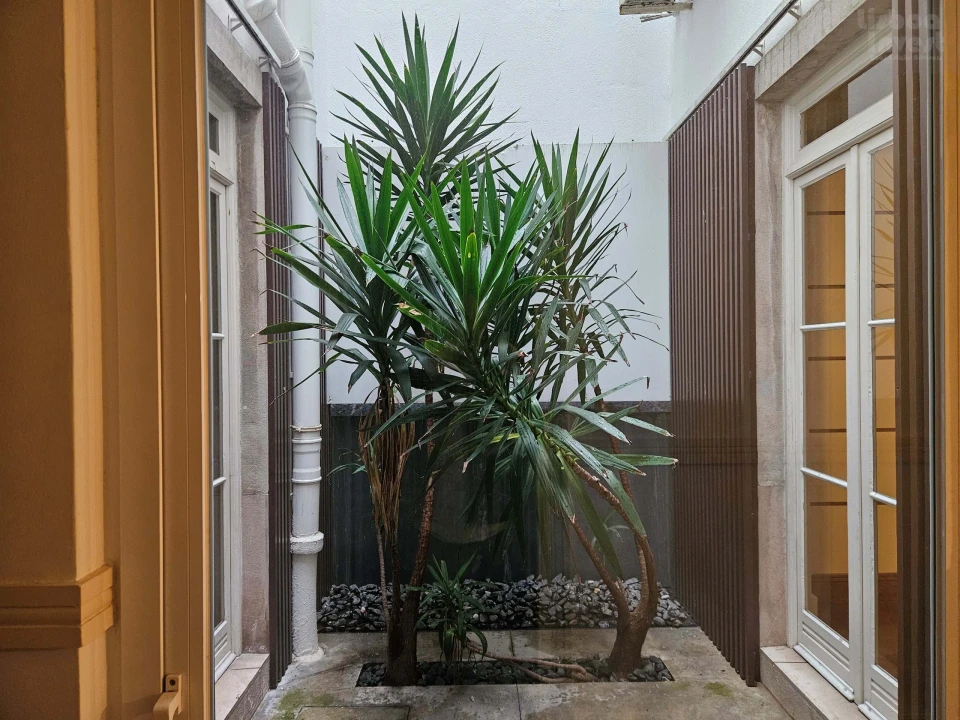 Apartamento T2 para Arrendamento em Avenidas Novas Foto 21