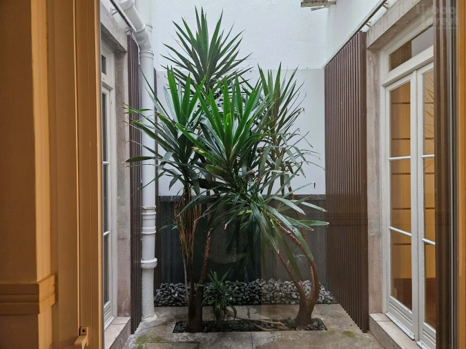 Apartamento T2 para Arrendamento em Avenidas Novas Foto 21