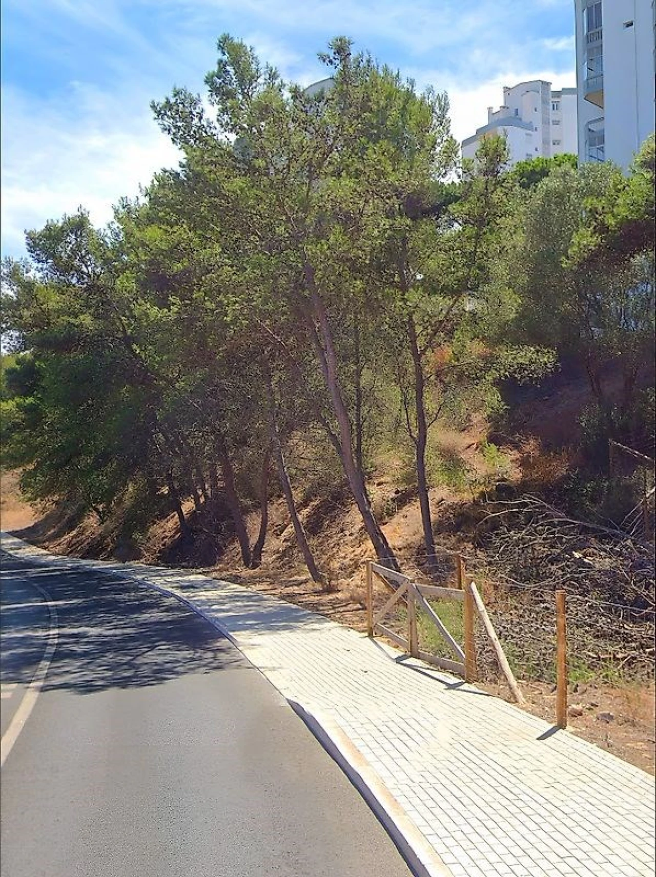 Terreno para Venda em Cascais e Estoril Foto 3