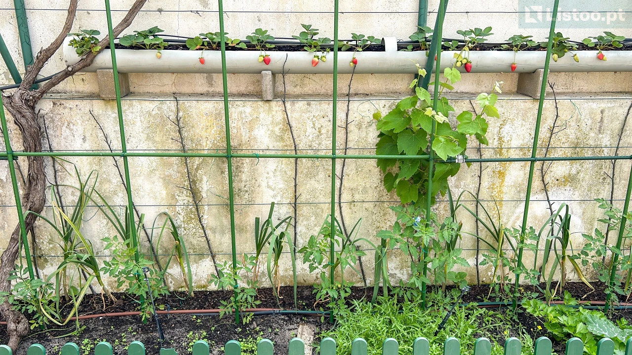 Moradia T3 para Venda em Grândola e Santa Margarida da Serra Foto 28