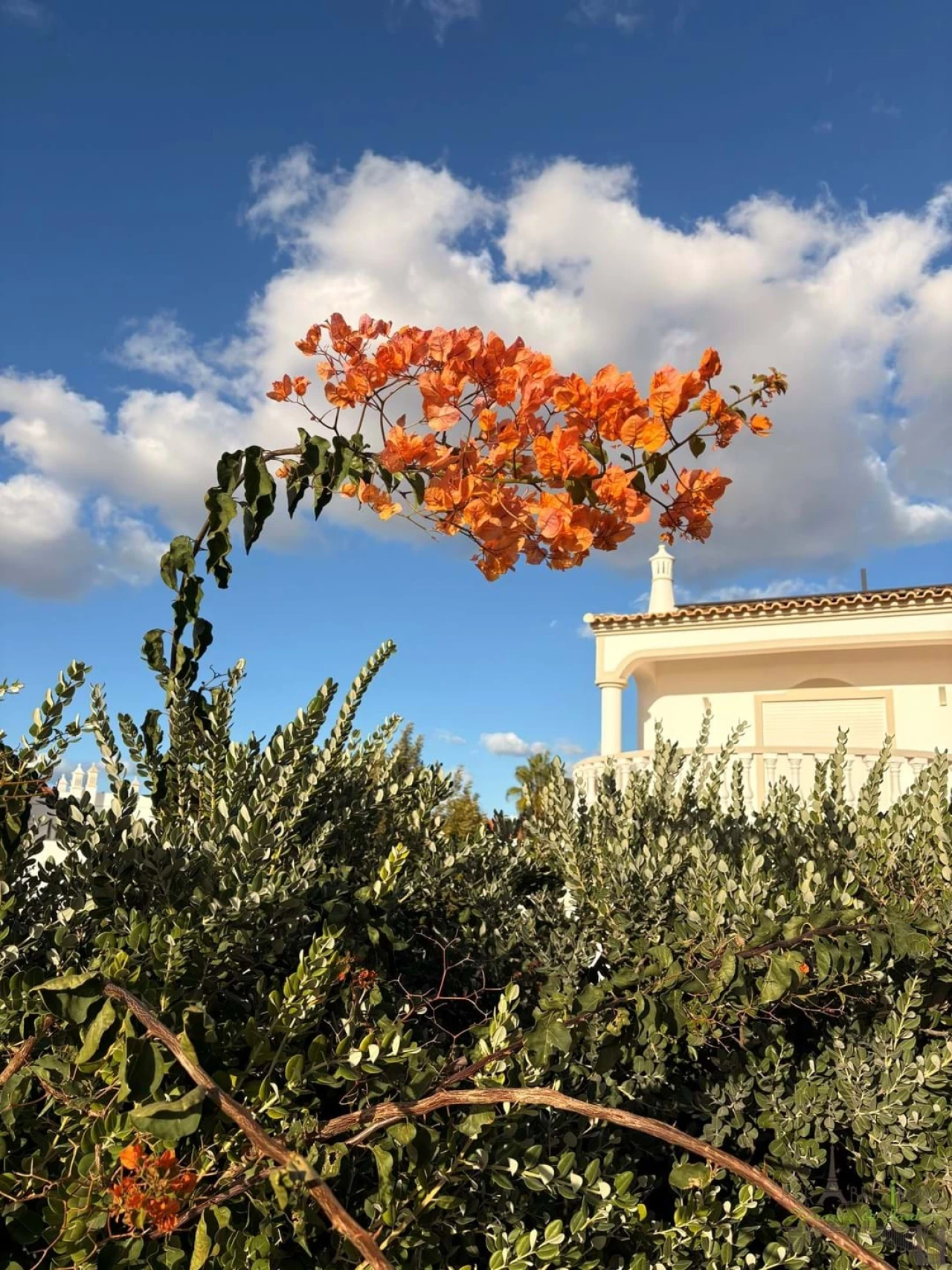 Apartamento T2 para Venda em Albufeira e Olhos de Água Foto 44