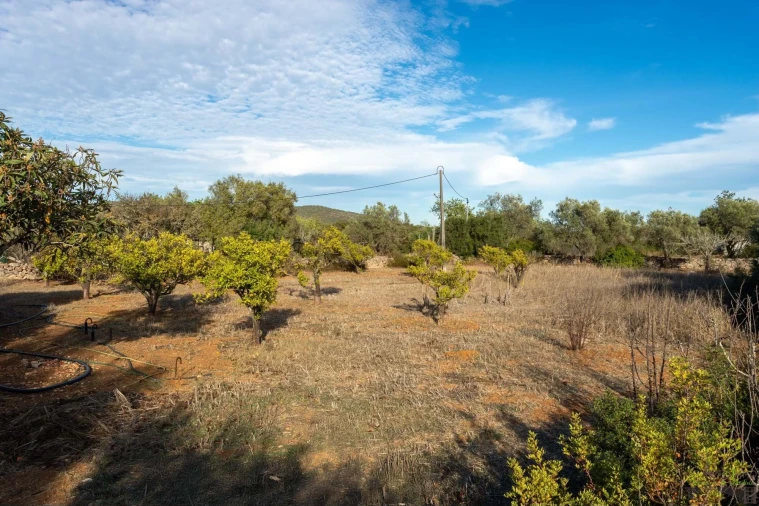 Moradia T3 para Venda em Olhão Foto 47