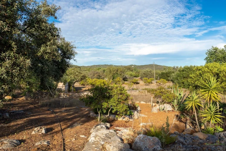 Moradia T3 para Venda em Olhão Foto 48