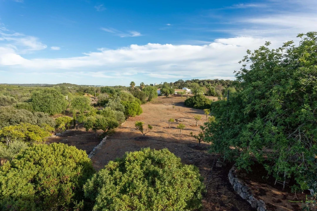 Moradia T3 para Venda em Olhão Foto 21