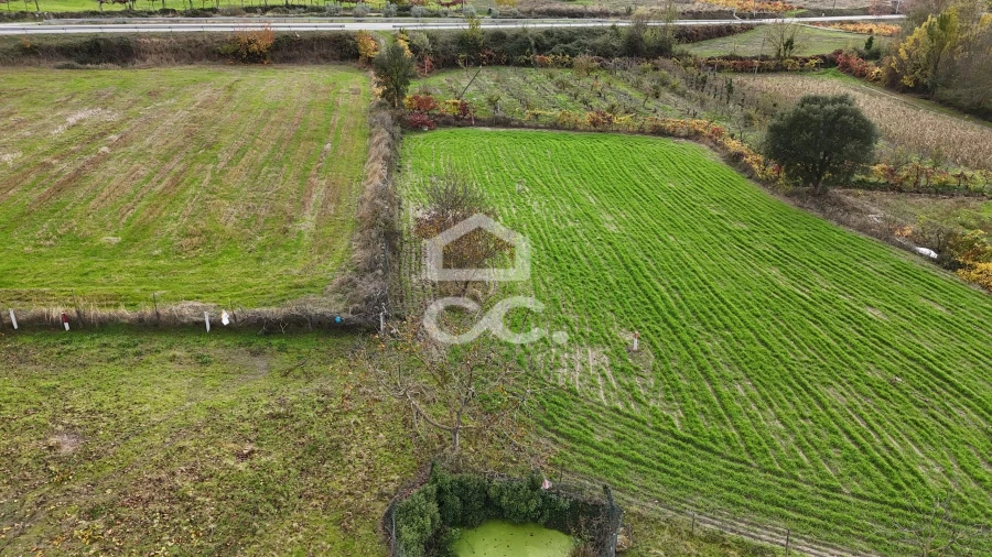 Terreno para Venda em Aguas Frias Foto 14