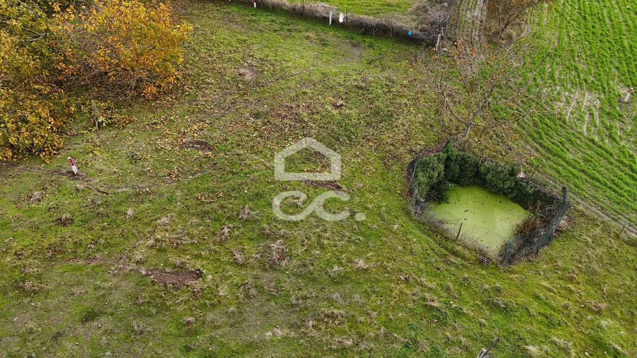 Terreno para Venda em Aguas Frias Foto 15