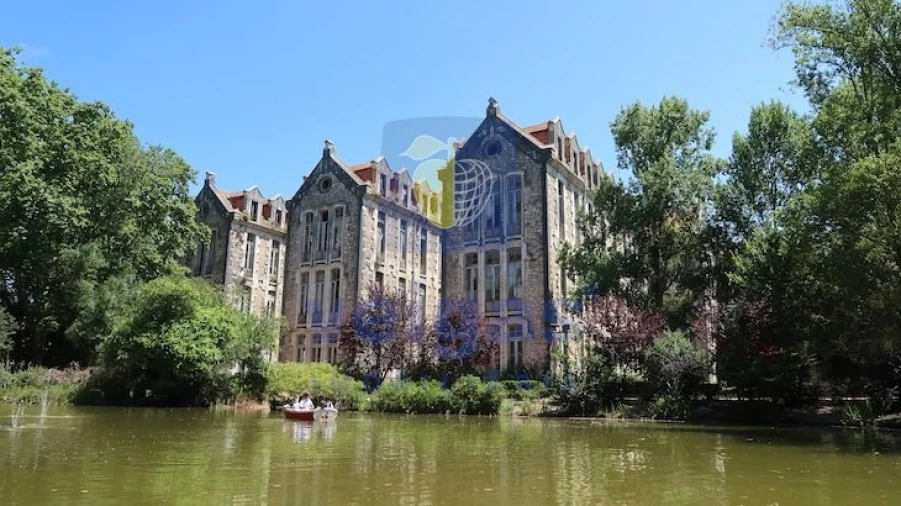 Terreno para Venda em Caldas da Rainha - Santo Onofre e Serra do Bouro Foto 6