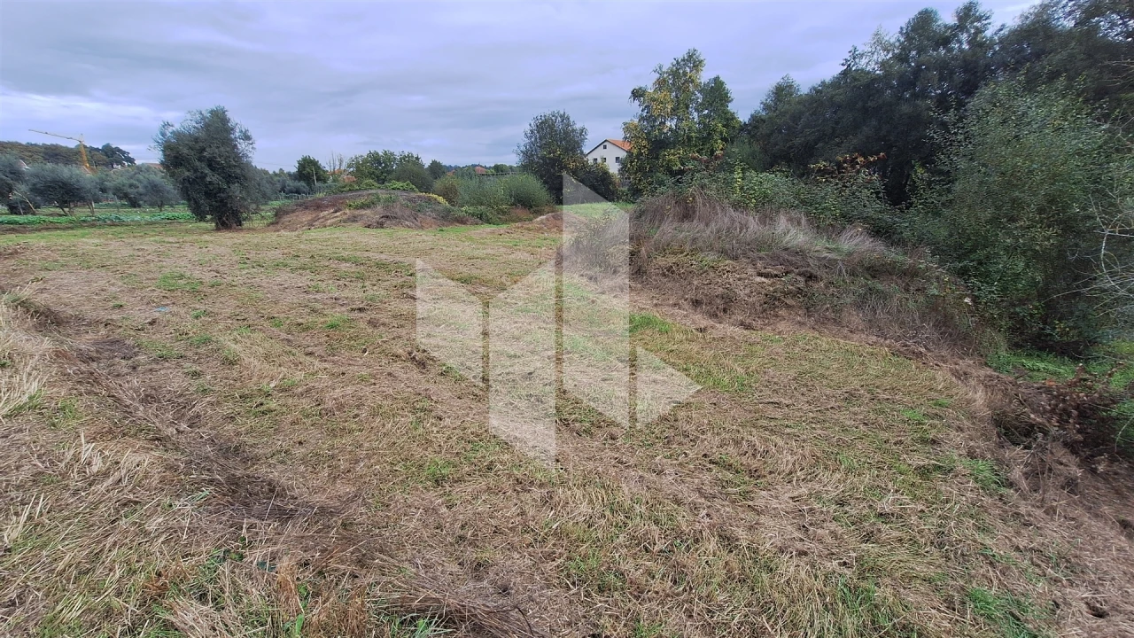 Terreno para Venda em São Miguel do Outeiro e Sabugosa Foto 3