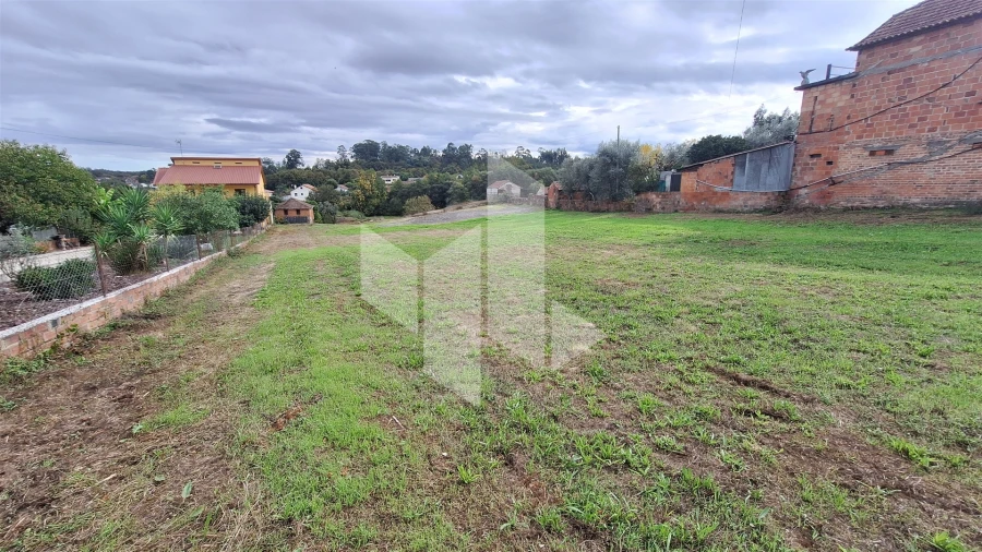 Terreno para Venda em São Miguel do Outeiro e Sabugosa