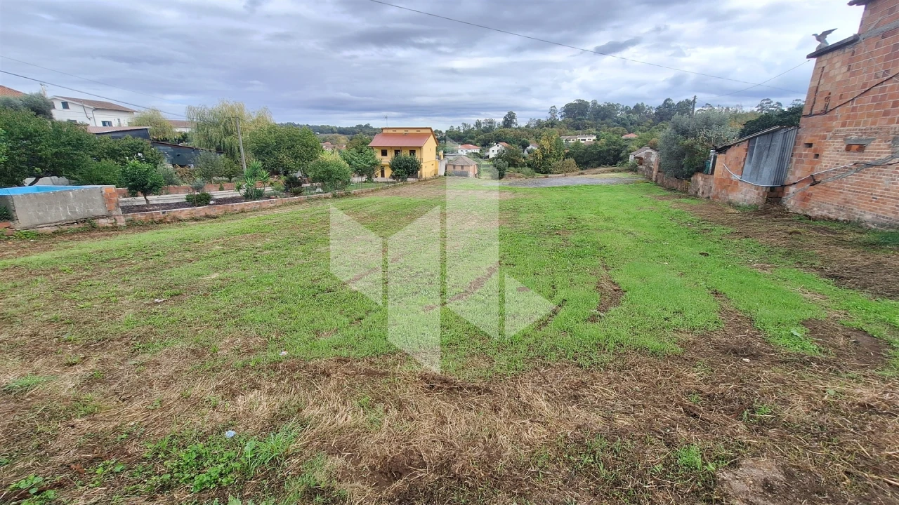 Terreno para Venda em São Miguel do Outeiro e Sabugosa Foto 4