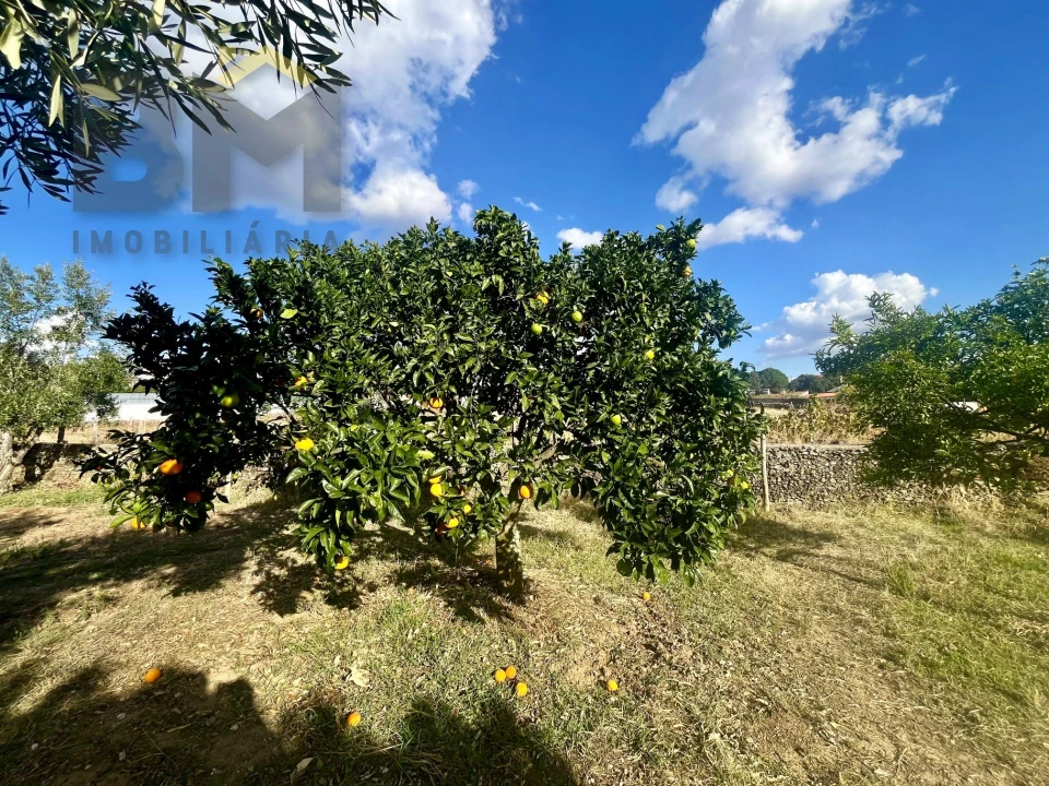 Quinta T0 para Venda em Cebolais de Cima e Retaxo Foto 19