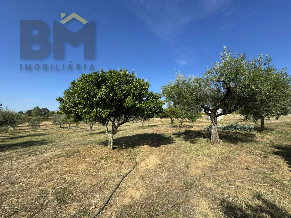 Quinta T0 para Venda em Cebolais de Cima e Retaxo Foto 18