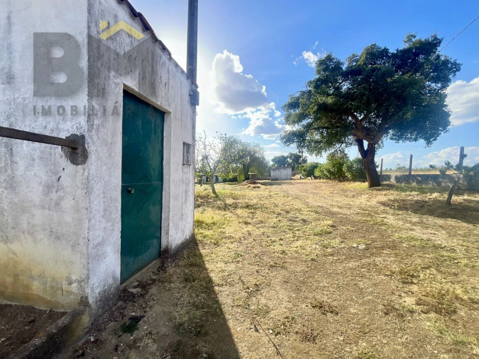 Quinta T0 para Venda em Cebolais de Cima e Retaxo Foto 15